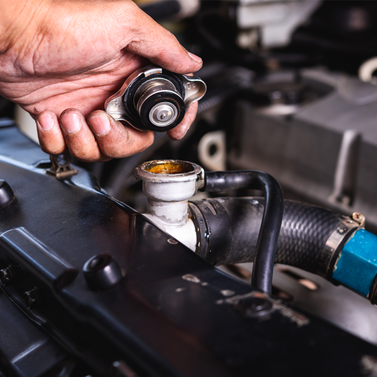 Image title Image Description